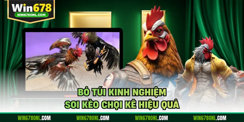 Soi Kèo Đá Gà WIN678 - Bật Mí Bí Quyết Thắng Lớn Mỗi Ngày 4 Bỏ túi kinh nghiệm soi kèo chọi kê hiệu quả