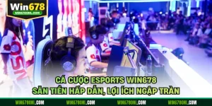 Cá Cược Esports WIN678 - Săn Tiền Hấp Dẫn, Lợi Ích Ngập Tràn