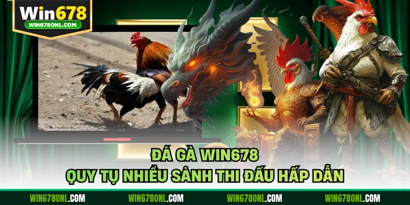 Đá Gà WIN678 - Hôm Nay Nóng Bỏng Với Trận Đấu Đỉnh Cao 2 Đá gà WIN678 quy tụ nhiều sảnh thi đấu hấp dẫn
