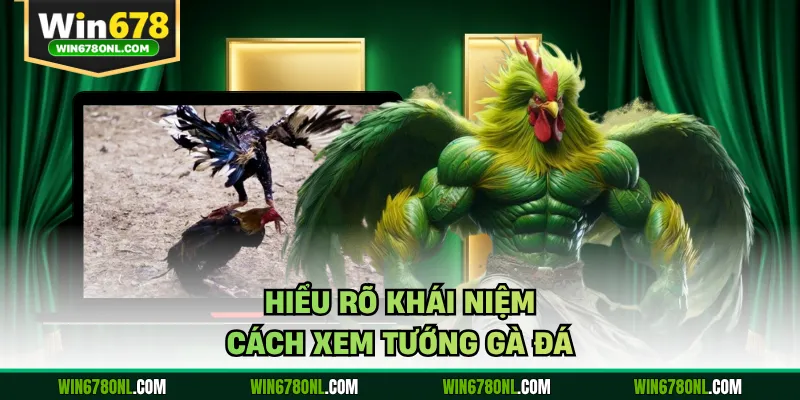 Cách Xem Tướng Gà Đá Chuẩn Tại WIN678 Dành Cho Tân Thủ 2 Hiểu rõ khái niệm cách xem tướng gà đá