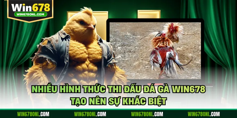 Đá Gà WIN678 - Hôm Nay Nóng Bỏng Với Trận Đấu Đỉnh Cao 3 Nhiều hình thức thi đấu đá gà WIN678 tạo nên sự khác biệt