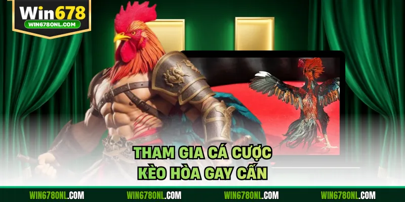 Soi Kèo Đá Gà WIN678 - Bật Mí Bí Quyết Thắng Lớn Mỗi Ngày 3 Tham gia cá cược kèo hòa gay cấn