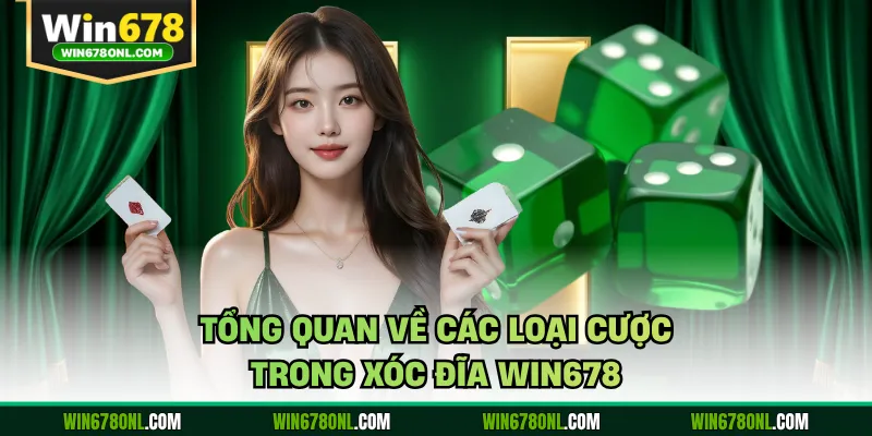 Xóc Đĩa Win678 - Bí Quyết Làm Chủ Bàn Cược Mỗi Ngày 3 Tổng quan về các loại cược trong xóc đĩa WIN678